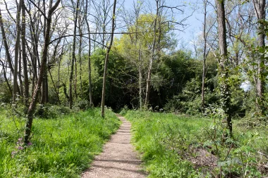 Parc du Limancet St Medard chemin.